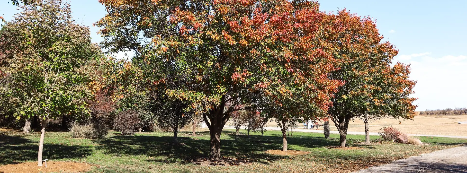 Arboretum in Hiawatha, Kansas | Grimm's Gardens